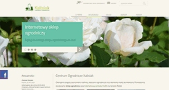 Desktop Screenshot of kalisiak.pl